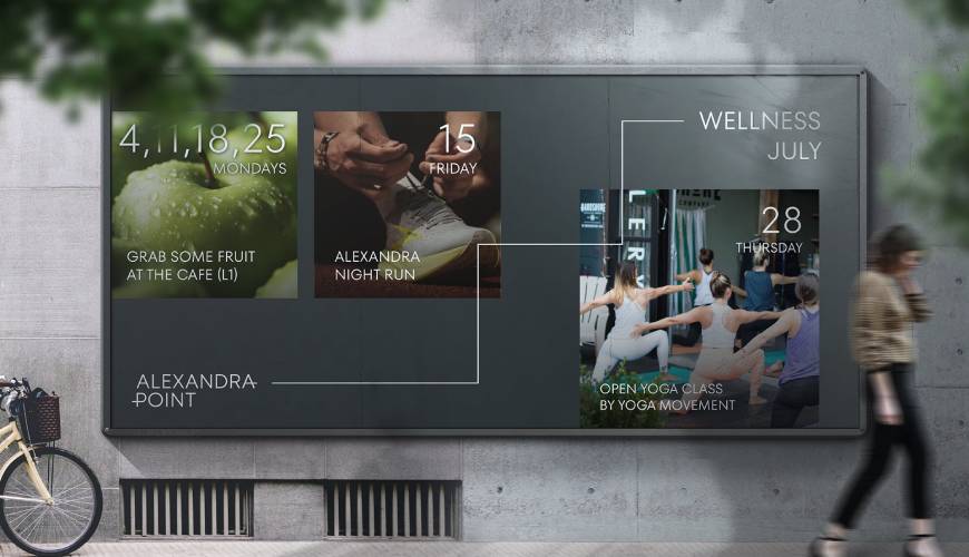 枞阳县VI设计公司如何进行品牌审核